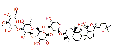 Holothurinoside C